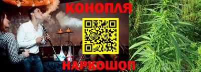 мяу мяу мука Можга