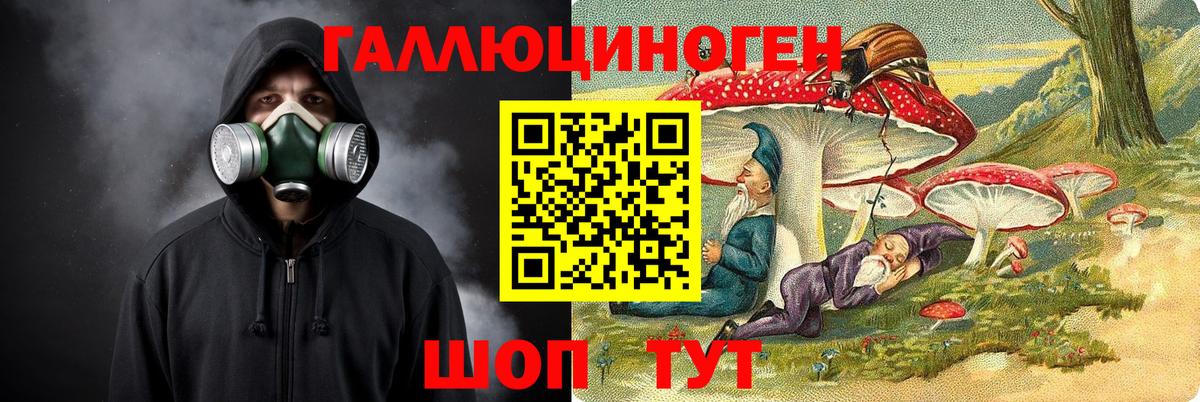 Галлюциногенные грибы ЛСД  Галлюциногенные грибы ЛСД  Вход с VPN  Ачхой-Мартан 