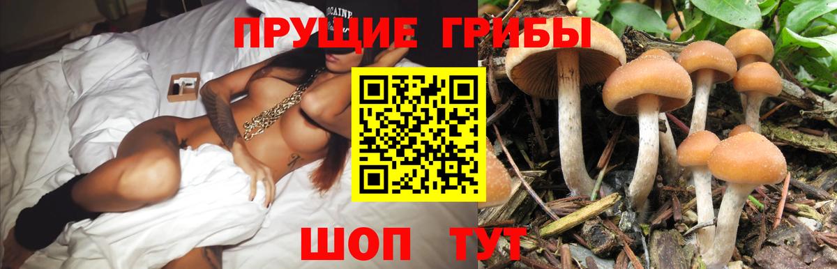 Галлюциногенные грибы ЛСД Ачхой-Мартан